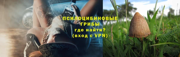 наркотики Новозыбков