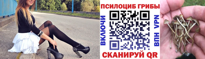 Купить где  Разумное  Галлюциногенные грибы мухоморы 